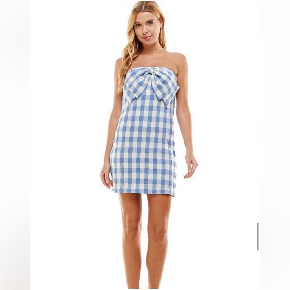 Gingham Strapless Bow Mini Dress in Blue and White